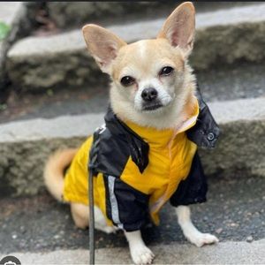 Meet your Posher, Preloved